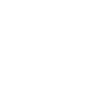 Firework 4 Peace