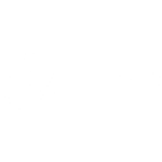 The HVNS